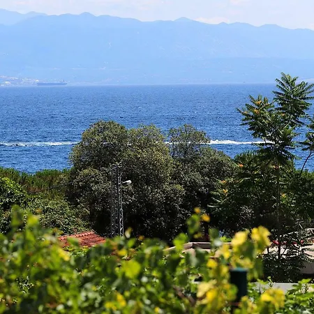 New With Swimming Pool Near The Apartment *